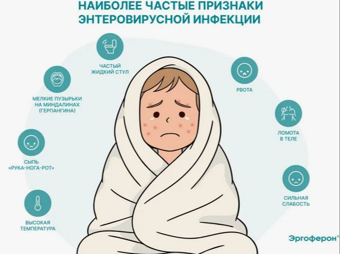 Вниманию граждан! Управление Роспотребнадзора по Камчатскому краю и ФБУЗ «Центр гигиены и эпидемиологии в Камчатском крае» с 27.07.2026 по 07.08.2026 проводят тематическое консультирование граждан Камчатского края.